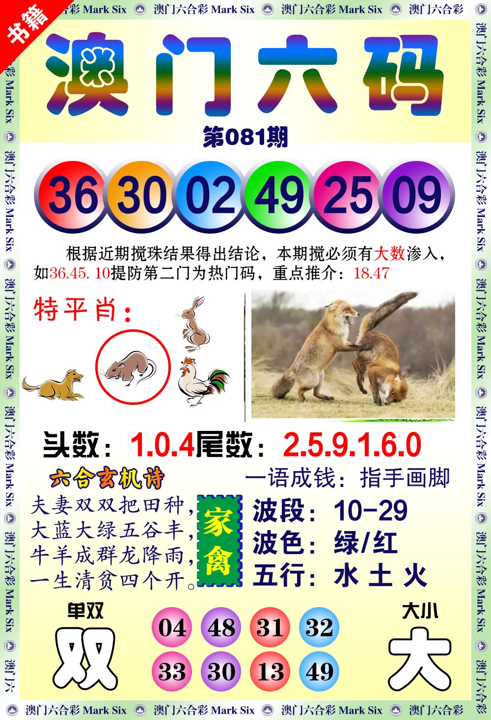 081期澳门望子成龙[图]